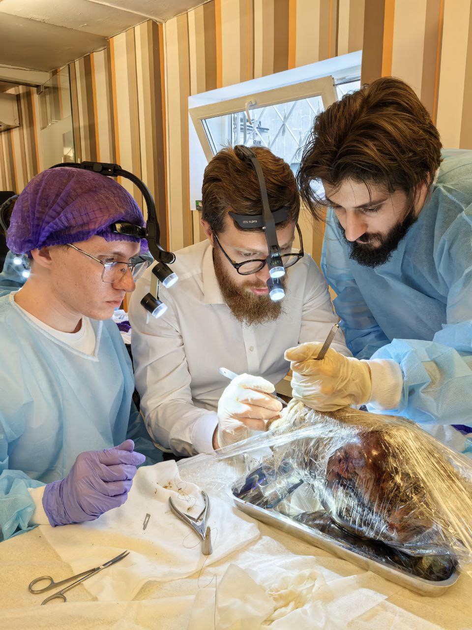 Курс по Риносептопластике